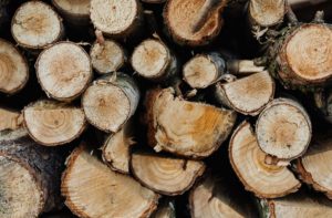 wood logs